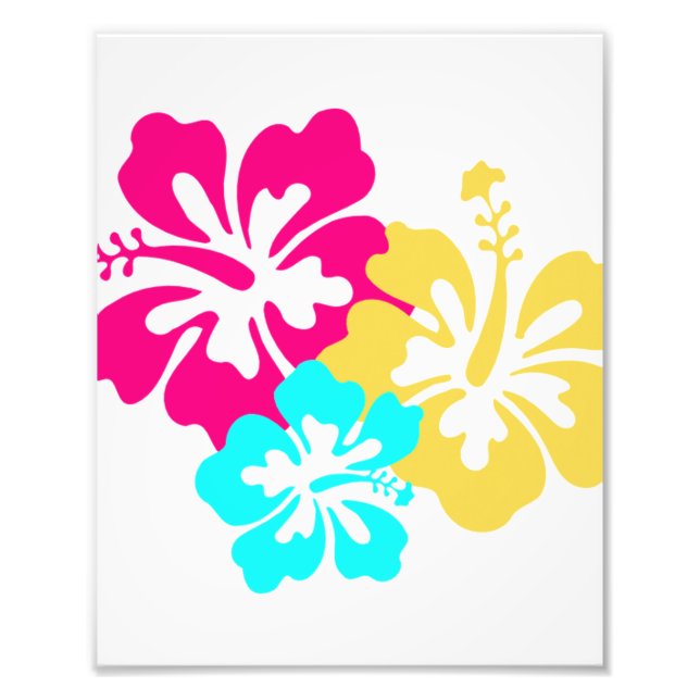 Blume des hawaiianischen Hibiskus Fotodruck (Vorne)