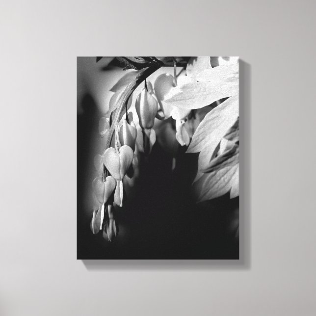 Blume des Herzens in Schwarz und Weiß Leinwanddruck (Vorderseite)