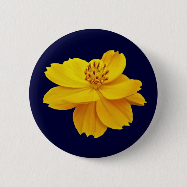 Blume des Kosmos (Cosmos sulfureus) Button (Vorderseite)