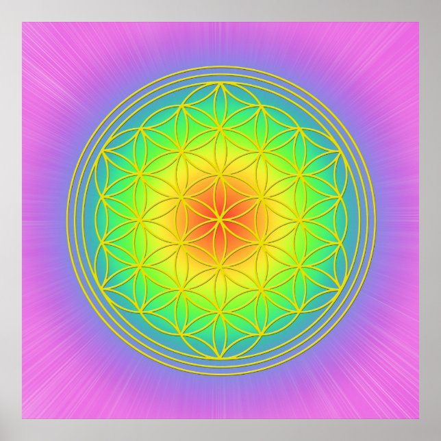 Blume des Lebens Chakra 1 Poster (Vorne)
