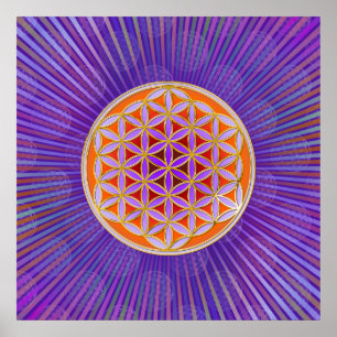 Blume des Lebens - Knopfviolett Poster