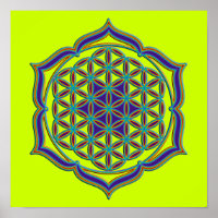 Blume des Lebens / Lebensgefühl - Lotus Contour