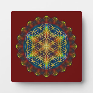 BLUME DES LEBENS / Lebensgefühl - Mandala III Fotoplatte