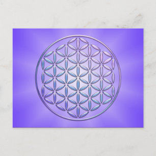 Blume des Lebens / Lebensgefühl - Violett der Brie Postkarte