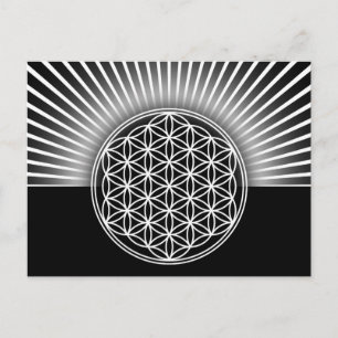 Blume des Lebens / Lebensgefühl - weiße Wohnung Postkarte