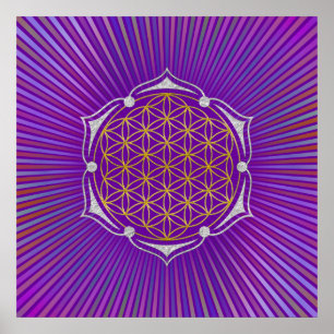 Blume des Lebens - Lotus gold silber Poster