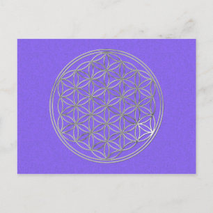 Blume des Lebens   Silber, lila Spritzer Postkarte