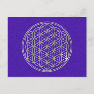 Blume des Lebens   silber, violett, Spritzer Postkarte