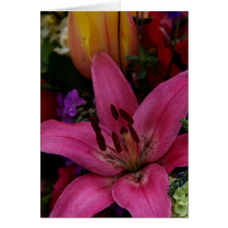 Blume des Marktes I