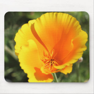 Blume des Mohns aus Kalifornien Mousepad