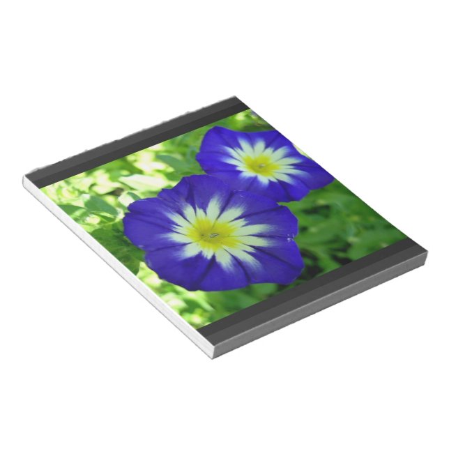 Blume des Morning Glory Notepad Notizblock (angewinkelt)