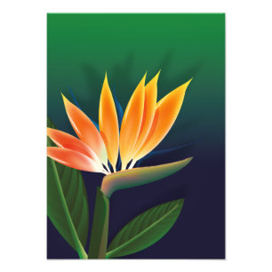 Blume des Paradieses Fotodruck