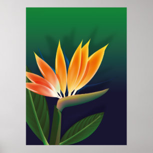Blume des Paradieses Poster
