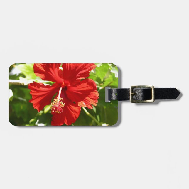Blume des Roten Hawaiianischen Hibiskus Gepäckanhänger (Vorderseite horizontal)