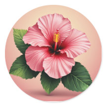 Blume des tropischen rosa Hibiskus