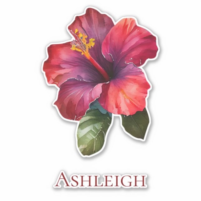Blume des tropischen Roten Hibiskus Aufkleber (Vorderseite)