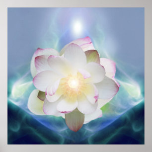 Blume des weißen Lotos im blauen Kristall Poster