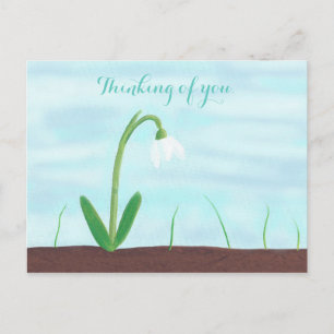 Blume des weißen Schneefalls - Denken Sie an Postk Postkarte