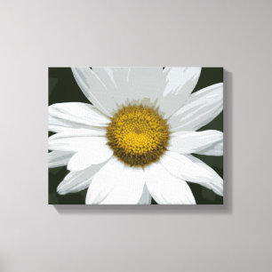 Blume des weißen und gelben Daisy Leinwanddruck