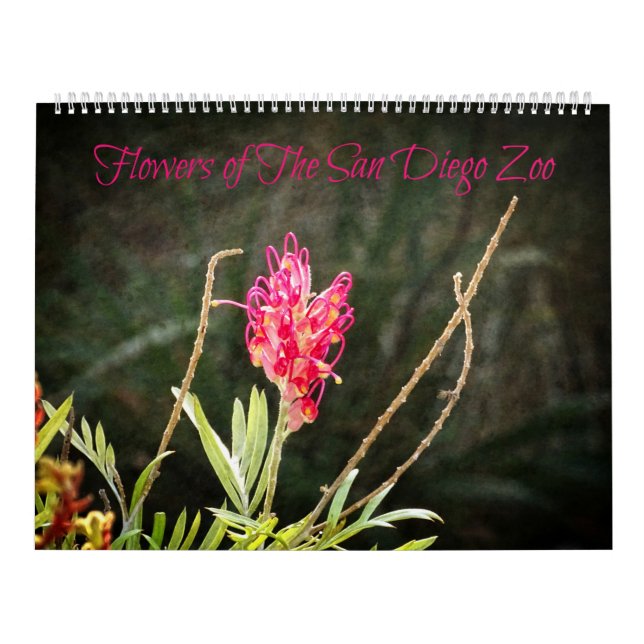 Blume des Zoo-Kalenders von San Diego Kalender (Titelbild)
