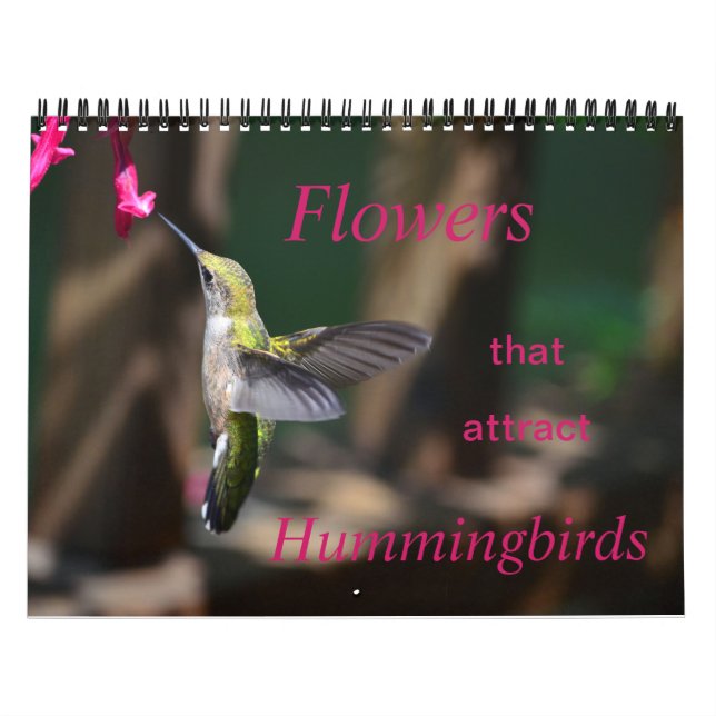 Blume, die Hummingbirds Calendar anziehen Kalender (Titelbild)