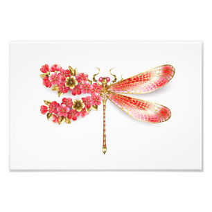 Blume Dragonfly mit Schmucksakura Fotodruck