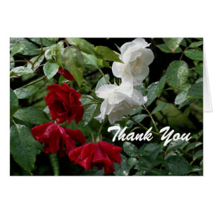 Blume "Drenched Rose" dank Karte