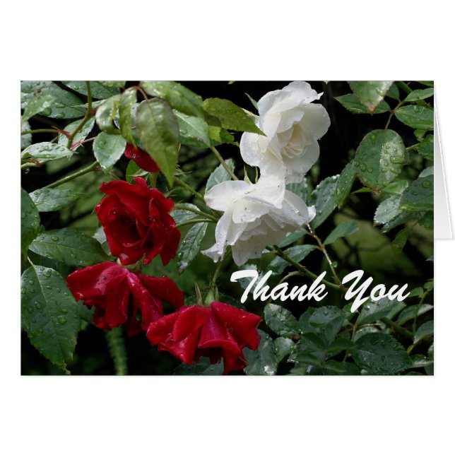 Blume "Drenched Rose" dank Karte (Vorderseite (Horizontal))