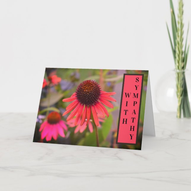 Blume Echinacea mit Beileid Karte (Vorderseite)