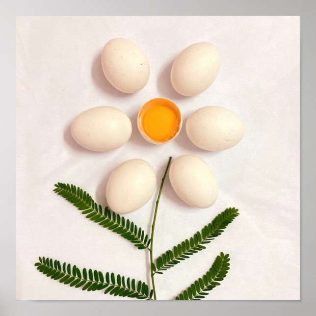 Blume Eierjolk Poster (Vorne)