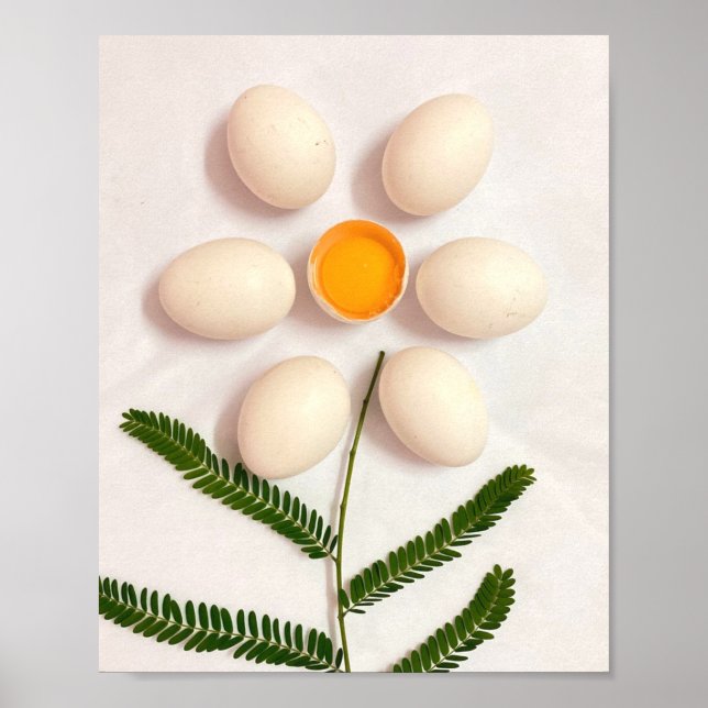 Blume Eierjolk Poster (Vorne)