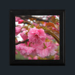 Blume Erinnerungskiste<br><div class="desc">Hot Pink Cherry Blossom Blume Foto von Sandy Closs am Lake Arrowhead Pink, Blume, Blume, Blumen, Frühling, Kirsche, Kirschen, Garten, Hochzeit, Hochzeiten, </div>