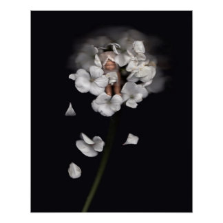 Blume Fairies 1 Poster