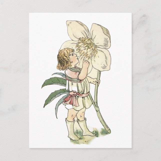 Blume Fairy-Folgekarte Postkarte (Vorderseite)
