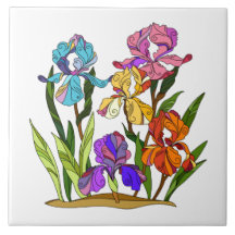 Blume, farbige Iris