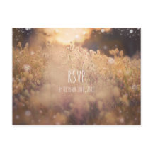 Blume Feld Rustikales Land Sonnenuntergang UAWG