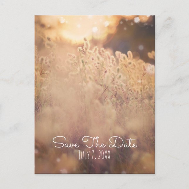 Blume Field Rustic Country Hochzeit Save the Date Ankündigungspostkarte (Vorderseite)