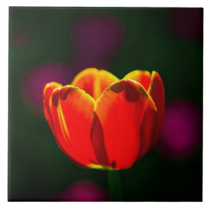 Blume Fliese