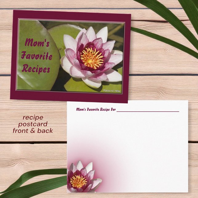 Blume Foto Recia Postkarte (front and back postcard recipe card )