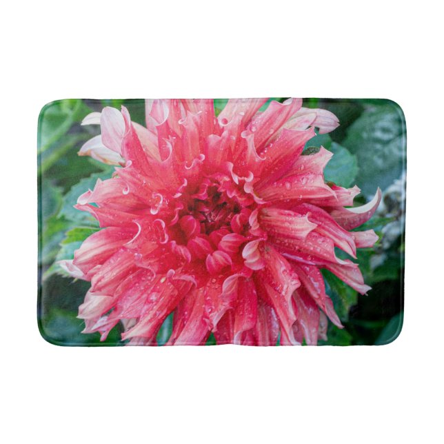 Blume Foto, rosa Dahlia Badematte (Vorderseite)