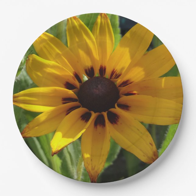 Blume Foto Teller für benutzerdefiniertes Papier (Vorderseite)