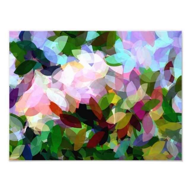 BLUME FOTODRUCK (Vorne)