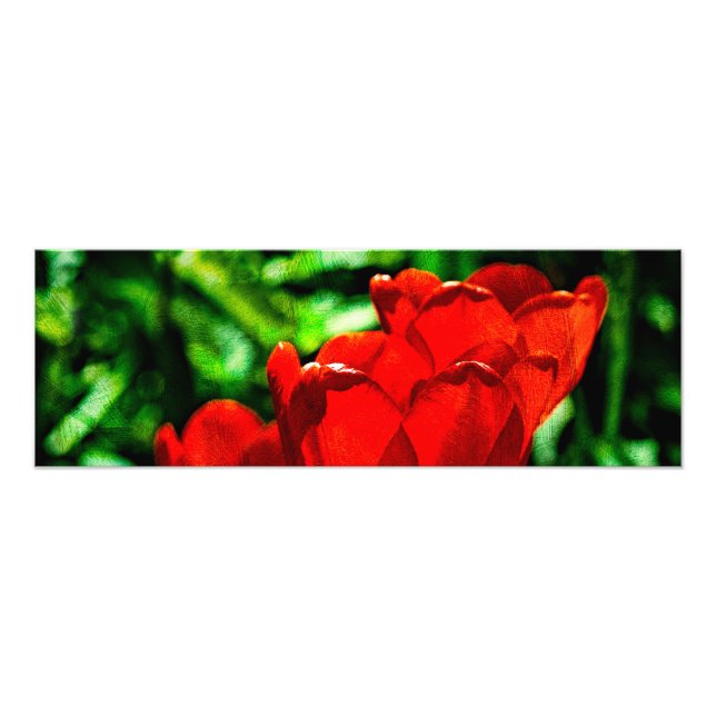 Blume Fotodruck (Vorne)