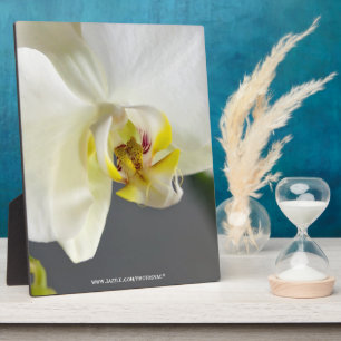 Blume Fotoplatte