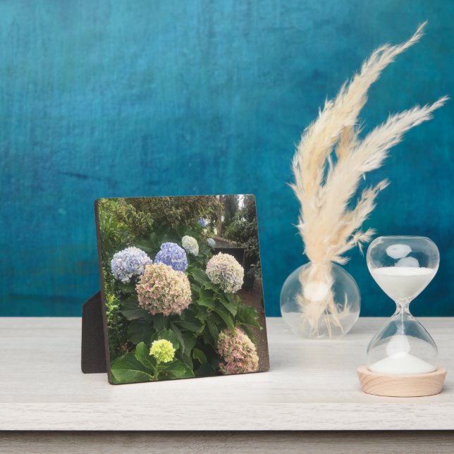 Blume Fotoplatte (InSitu)