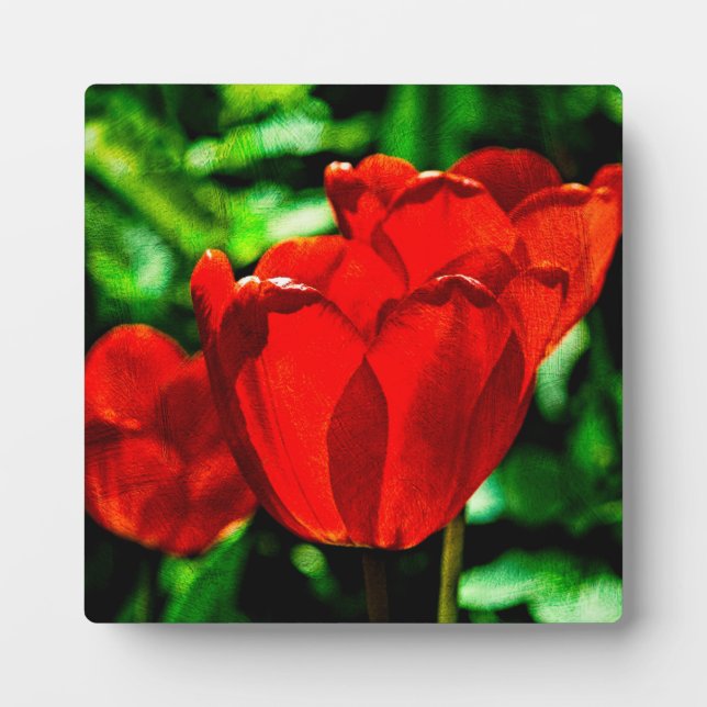 Blume Fotoplatte (Vorderseite)