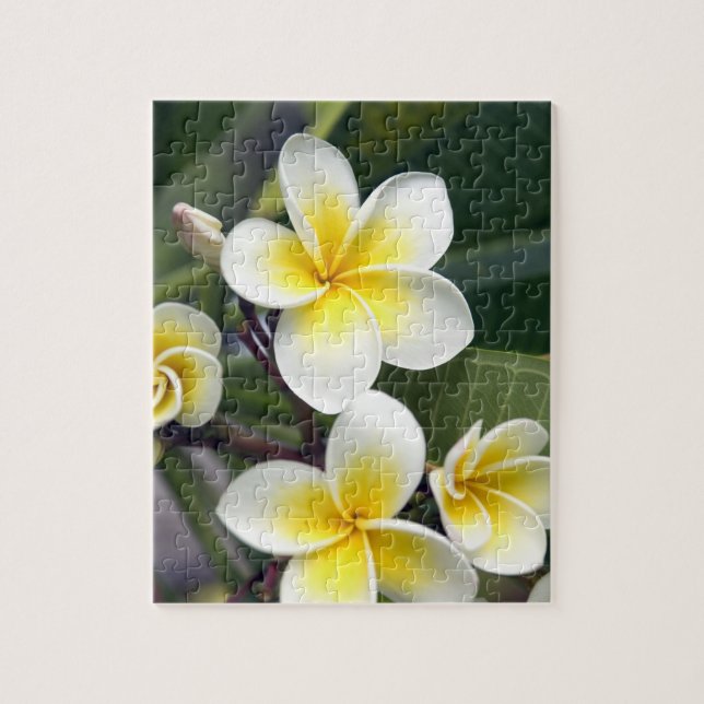 Blume Frangipani (Vertikal)