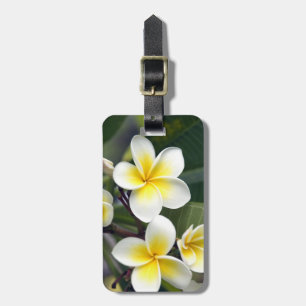 Blume Frangipani Gepäckanhänger