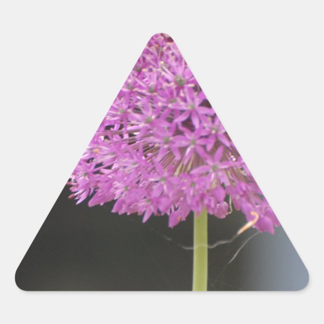 Blume für alle dreieckiger aufkleber (Vorderseite)