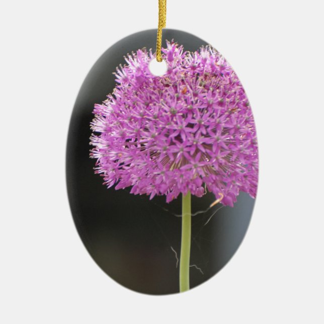 Blume für alle keramikornament (Vorne)